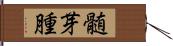 髄芽腫 Hand Scroll