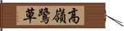 高嶺鷺草 Hand Scroll