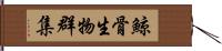 鯨骨生物群集 Hand Scroll