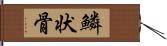 鱗状骨 Hand Scroll