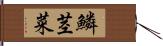 鱗茎菜 Hand Scroll