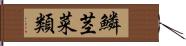 鱗茎菜類 Hand Scroll