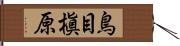 鳥目槇原 Hand Scroll