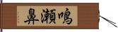 鳴瀬鼻 Hand Scroll