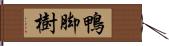 鴨脚樹 Hand Scroll