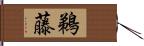 鵜藤 Hand Scroll