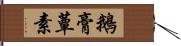 鵝膏蕈素 Hand Scroll