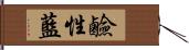 鹼性藍 Hand Scroll