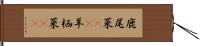 鹿尾菜(rK) Hand Scroll