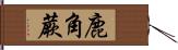 鹿角蕨 Hand Scroll