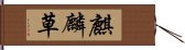 麒麟草 Hand Scroll