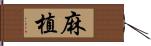 麻植 Hand Scroll