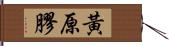 黃原膠 Hand Scroll