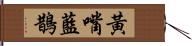 黃嘴藍鵲 Hand Scroll