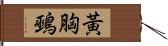 黃胸鵐 Hand Scroll