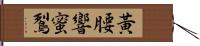 黃腰響蜜鴷 Hand Scroll