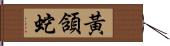 黃頷蛇 Hand Scroll