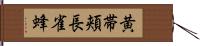 黄帯頬長雀蜂 Hand Scroll