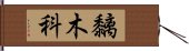 黐木科 Hand Scroll