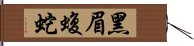 黑眉蝮蛇 Hand Scroll