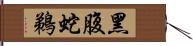 黑腹蛇鵜 Hand Scroll