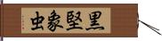黒堅象虫 Hand Scroll