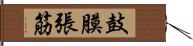 鼓膜張筋 Hand Scroll