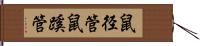 鼠径管 Hand Scroll