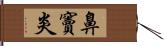 鼻竇炎 Hand Scroll