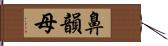 鼻韻母 Hand Scroll