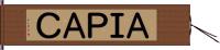 ＡＩＰＡＣ Hand Scroll