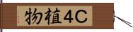 Ｃ４植物 Hand Scroll