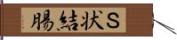Ｓ状結腸 Hand Scroll