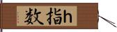 ｈ指数 Hand Scroll