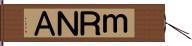 ｍＲＮＡ Hand Scroll