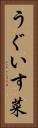 うぐいす菜 Vertical Portrait