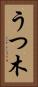 うつ木 Vertical Portrait