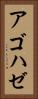 アゴハゼ Vertical Portrait