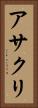 アサクリ Vertical Portrait