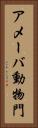 アメーバ動物門 Vertical Portrait