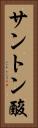 サントン酸 Vertical Portrait