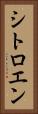シトロエン Vertical Portrait