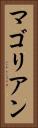 マゴリアン Vertical Portrait