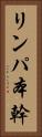 リンパ本幹 Vertical Portrait
