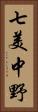 七美中野 Vertical Portrait