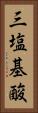 三塩基酸 Vertical Portrait
