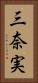 三奈実 Vertical Portrait