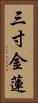三寸金蓮 Vertical Portrait