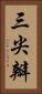 三尖瓣 Vertical Portrait