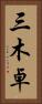 三木卓 Vertical Portrait